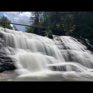 Meet your Posher, Grayson